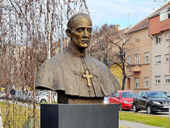 Stepinčevo u Osijeku, Osijek, 10. veljače 2025.