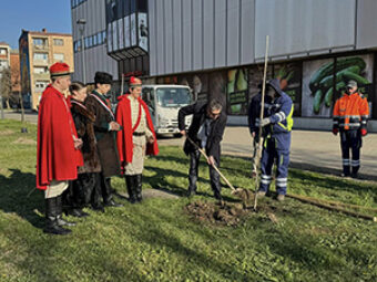 Nastavak projekta sadnje Gupčevih lipa povodom obilježavanja 1100. obljetnice Hrvatskoga Kraljevstva, Županja, 30. prosinca 2025.